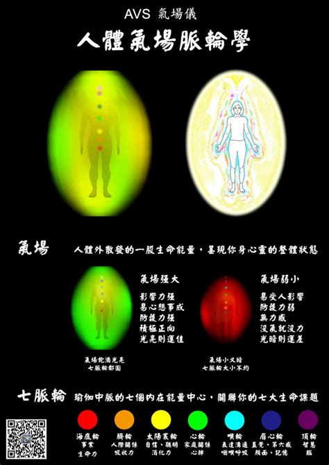 氣場儀|氣場、脈輪，AVS氣場儀全攻略！